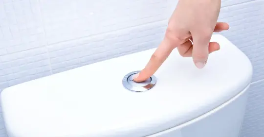 flushing toilet